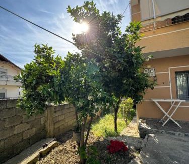 Tirana Villa | Vila Murati