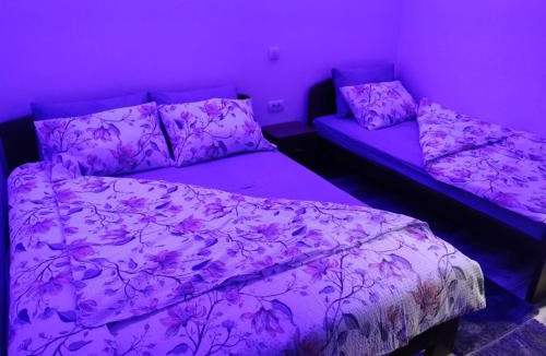 Leposaviq District Apartment | Vila Rajski kutak Kopaonik