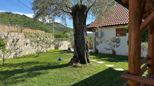 Berat Villa | Vila Ramaj