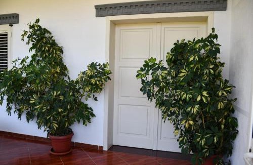 Sakës House | Vila Rrozhani
