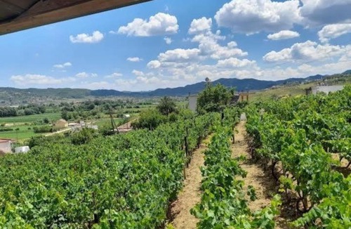 Rade House | Vila Shehi Guesthouse and Winery