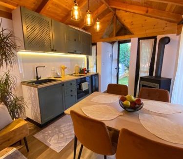 Tushemisht Villa | Vileta Auri