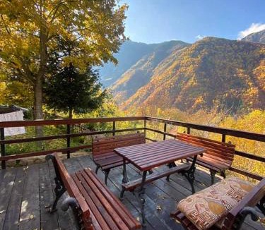 Pejë Ski Chalet | Villa Albani