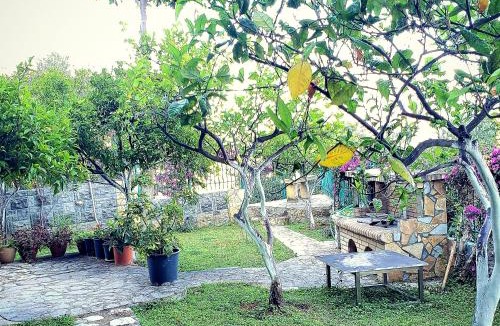 Vlore Villa | Villa Angela