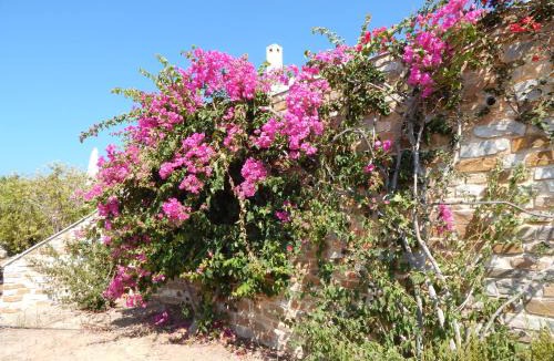 Finikas House | Villa Annita Syros, with extraordinary view near the sea
