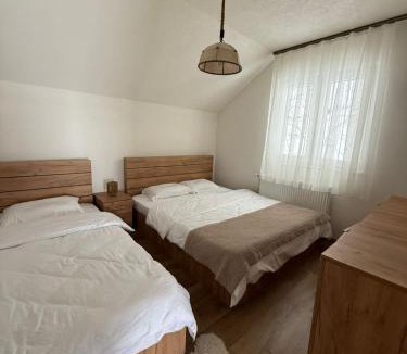 Pleshinë Villa | Villa Apollonia Jezerc