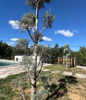 Bresalc Villa | Villa B