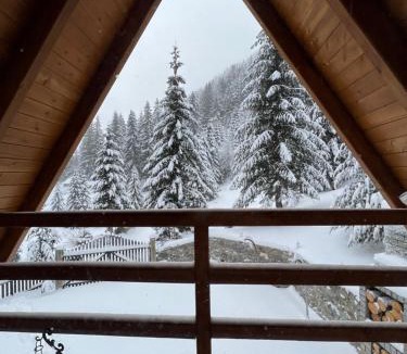 Strellc i Epërm Villa | Villa Belegu Mountain