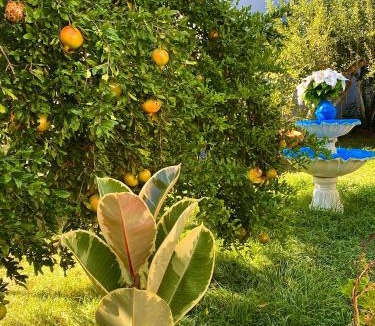 Berat Apartment | Villa Ceno