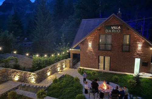 Vitomiricë Villa | Villa Dario