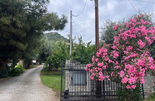 Nea Iraklitsa Villa | Villa Eleonas