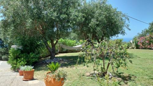 Kavvadades House | Villa Gecko, Arillas
