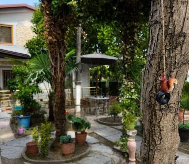 Shkoder Villa | Villa Halili - The Garden Retreat