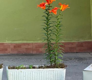 Durres House | Villa IBRAHIMI