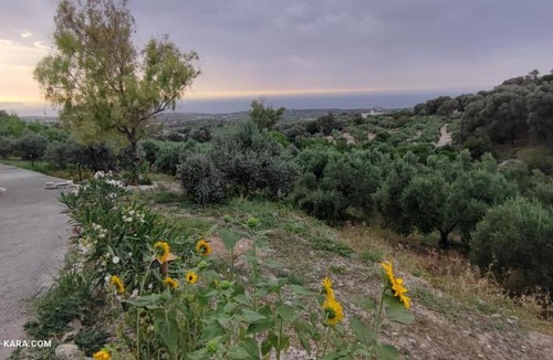 Mesi Bed & Breakfast | VILLA KARA - Creta