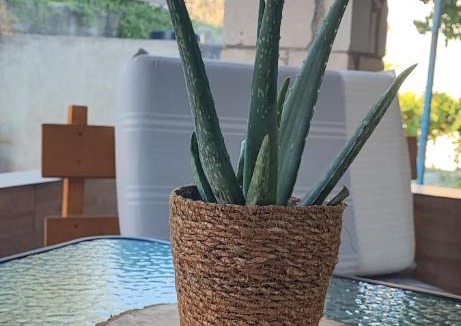 Mesi Bed & Breakfast | VILLA KARA - Creta