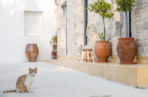 Kamilari Villa | Villa Mira