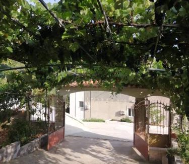 Piqeras Apartment | VILLA NEFELI