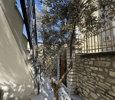 Berat House | Villa Olive Berat