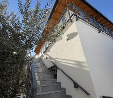 Berat House | Villa Olive Berat