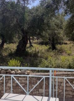 Himare House | Villa Olivia Grove