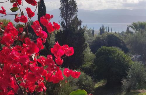 Pylos-Nestoras Villa | Villa Pilias Methoni