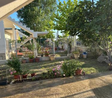 Velipoje Villa | Villa Rei