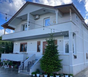 Udenisht House | Villa Rejan