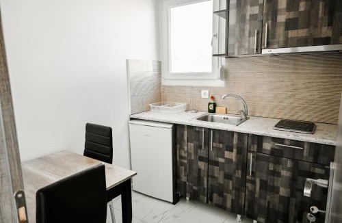 Neoi Epivates Apartment | Villa Sonja Standard Apartment