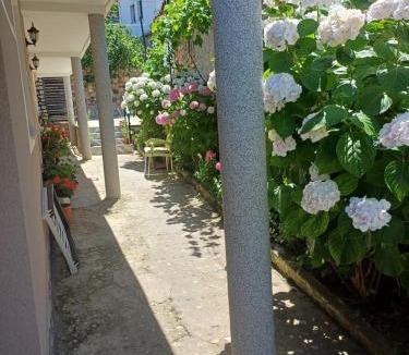 Lin House | villa stavri
