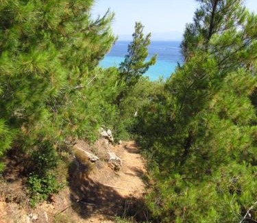Afytos Villa | Villa Y sea view