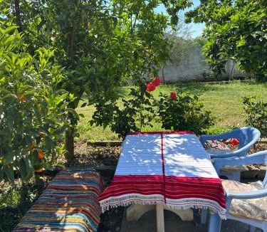 Sakës Bed & Breakfast | Villa Zefi Rrenc
