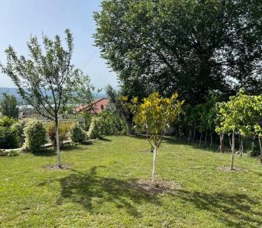 Sakës House | Village Getaway