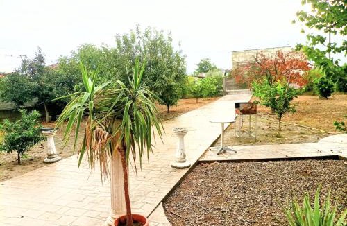 Xhafzotaj Villa | Villas Maria for rent feeling Home Durres city