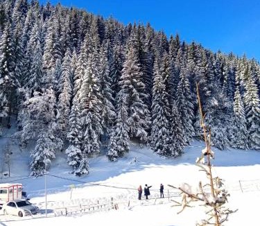 Vitomiricë Villa | Villat Kroni Boge Rugove