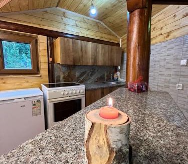 Pejë Other | VIP Villa