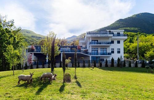 Vitomiricë Bed & Breakfast | White House Radac Peja