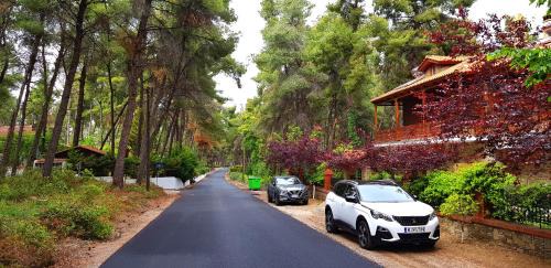 Sane House | Wood and Stone Villa