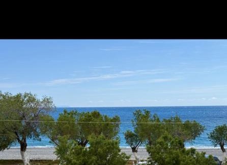 Sougia Hotel | Zorbas