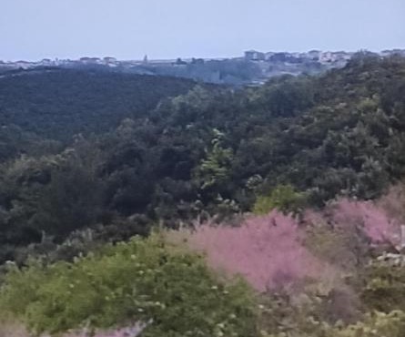 ΠΑΝΟΡΑΜΑ