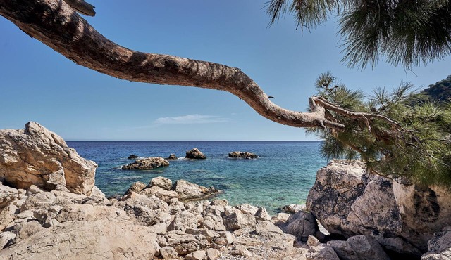 Althea Boutique Hotel - Adults Only in Karpathos