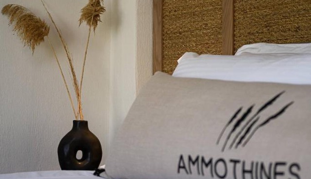 Ammothines Beach Suites in Chrysi Ammoudia