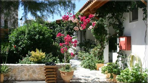 Ampelos apartment and studios in Xerokampos