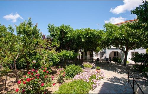 Anesis Studios & Apartments Plati Beach, Lemnos in Lemnos