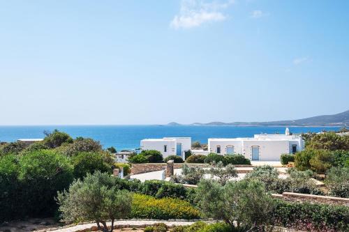 Antiparos Olive House in Antiparos