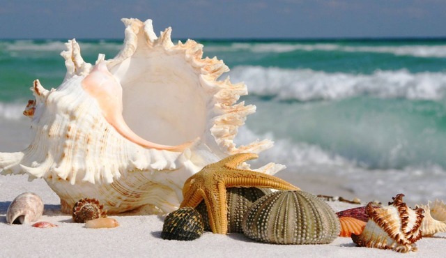 Appartamento,spiaggia