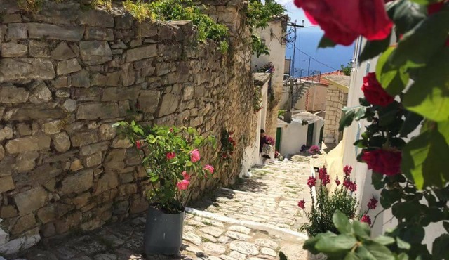 Arvi Boutique Hotel