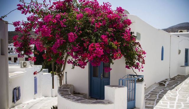 Beautiful traditional house in Paros