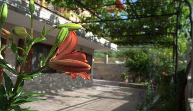 Bella's House in Stavros