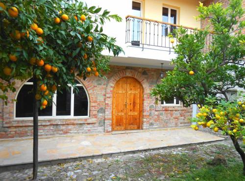 CastleHouse in Elbasan